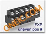 FXPT09200