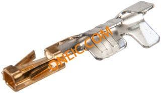 CC79L-2024-01-S